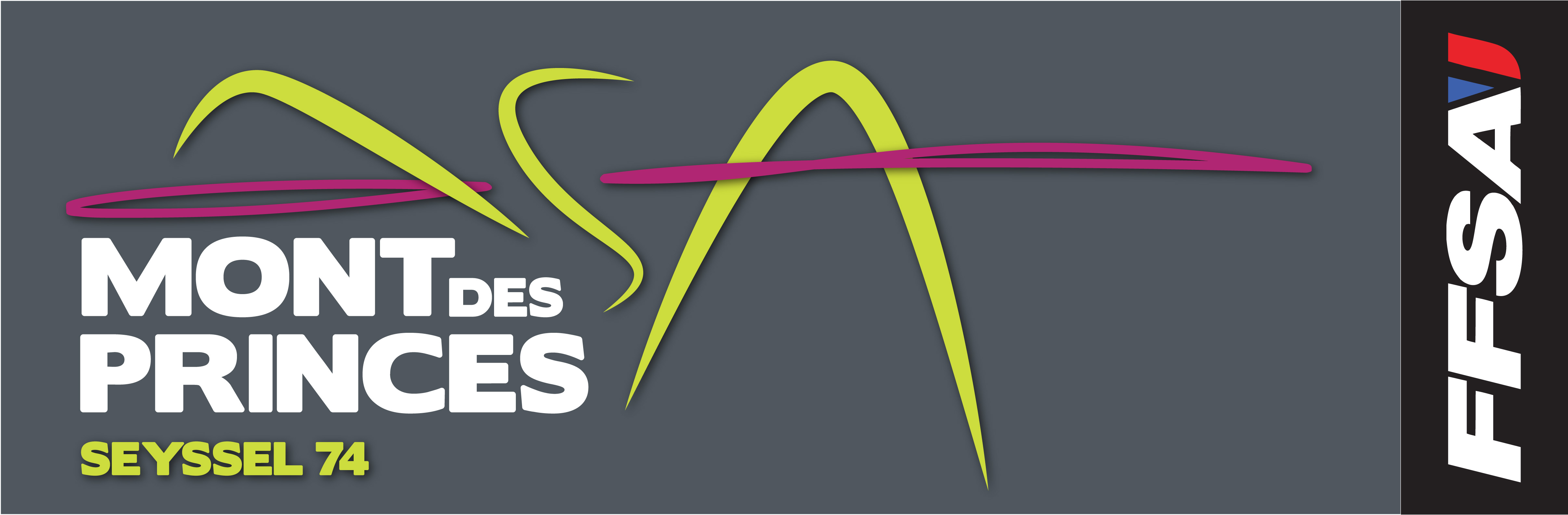 Logo ASA MONT DES PRINCES